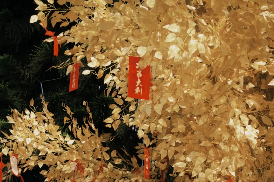 寻年味 话年俗 赏年韵